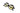 Minions Eyewear Sunglasses MS21008